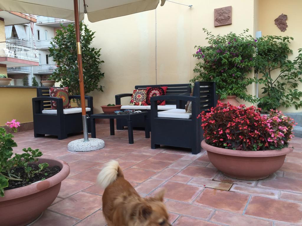 A Casa Di Grace Bed & Breakfast Cassino Ngoại thất bức ảnh